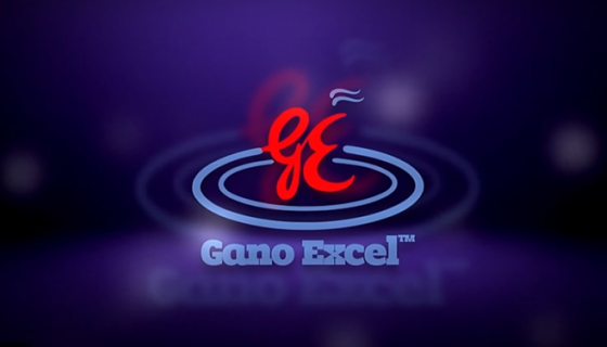 Gano Excel Fabrika